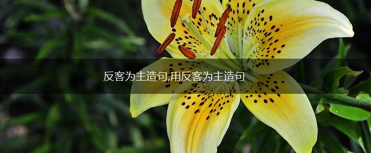 反客为主造句,用反客为主造句,第1张