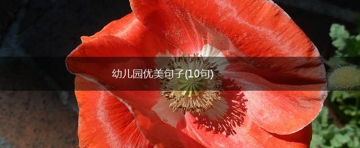 幼儿园优美句子(10句),第1张