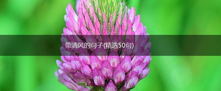 带清风的句子(精选50句),第1张