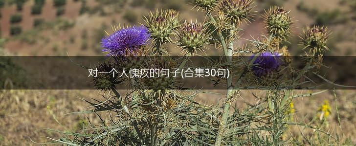 对一个人愧疚的句子(合集30句),第1张