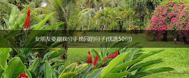 女朋友要跟我分手挽回的句子(优选50句),第1张
