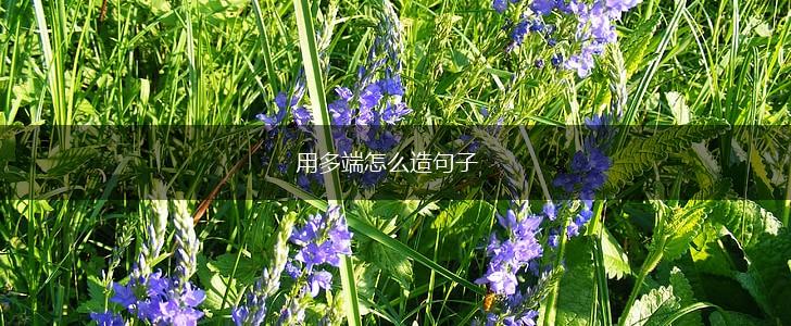 用多端怎么造句子,第1张