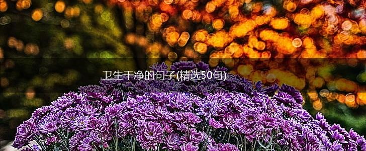 卫生干净的句子(精选50句),第1张