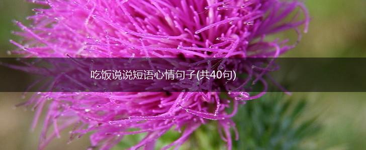 吃饭说说短语心情句子(共40句),第1张
