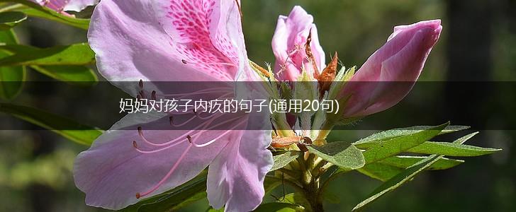 妈妈对孩子内疚的句子(通用20句),第1张