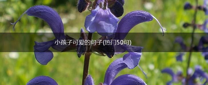 小孩子可爱的句子(热门50句),第1张
