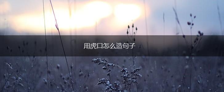 用虎口怎么造句子,第1张