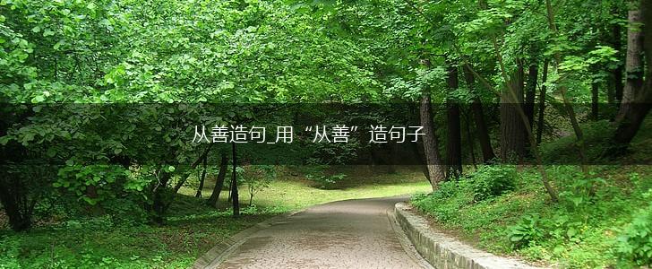 从善造句_用“从善”造句子,第1张