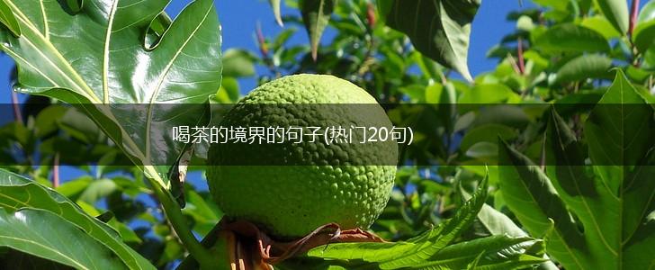 喝茶的境界的句子(热门20句),第1张