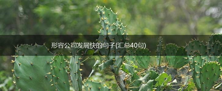 形容公司发展快的句子(汇总40句),第1张