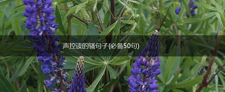 声控读的骚句子(必备50句),第1张