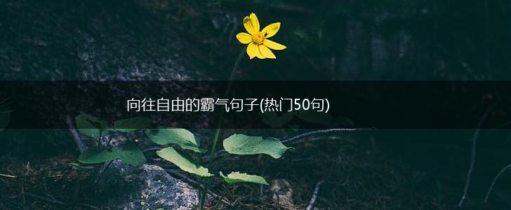 向往自由的霸气句子(热门50句),第1张