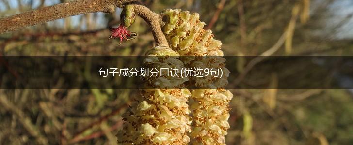 句子成分划分口诀(优选9句),第1张