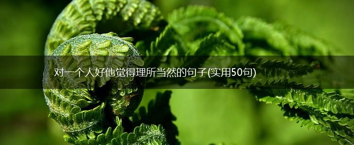 对一个人好他觉得理所当然的句子(实用50句),第1张
