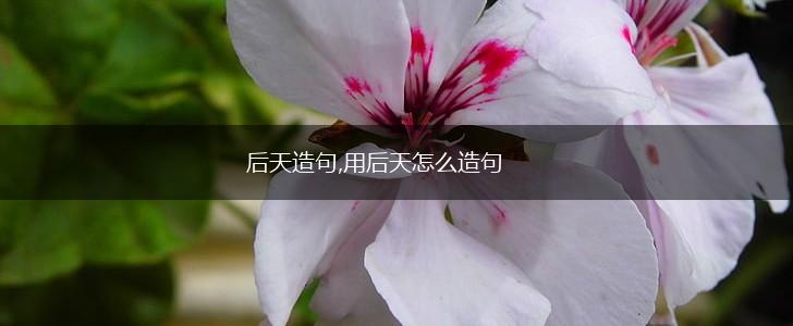 后天造句,用后天怎么造句,第1张