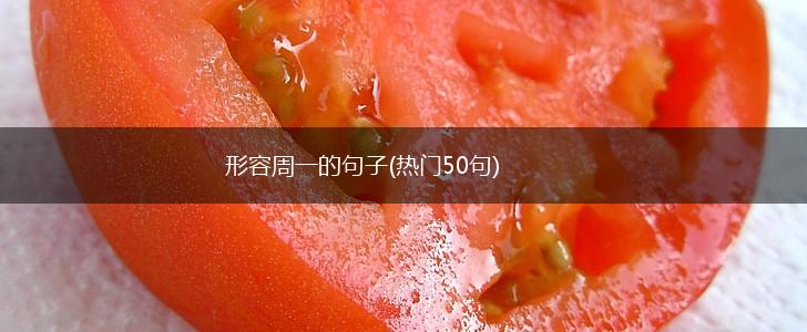 形容周一的句子(热门50句),第1张
