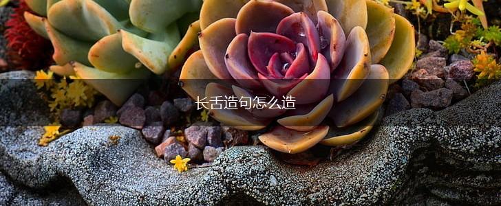 长舌造句怎么造,第1张