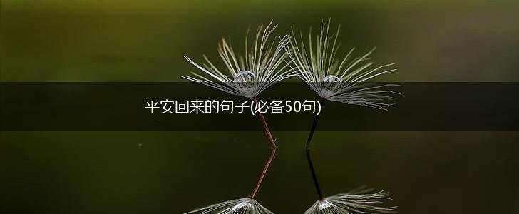 平安回来的句子(必备50句),第1张