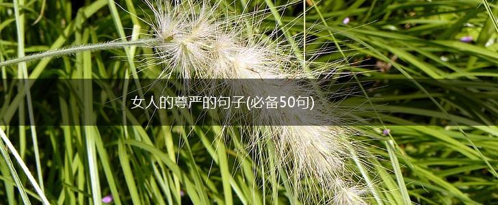 女人的尊严的句子(必备50句),第1张
