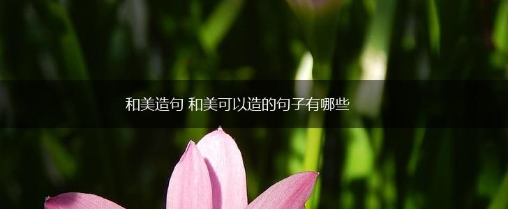 和美造句 和美可以造的句子有哪些,第1张