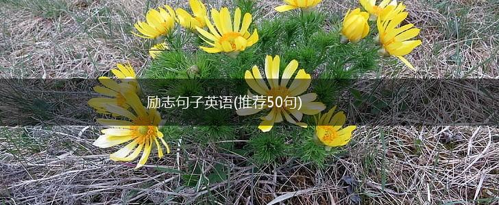 励志句子英语(推荐50句),第1张