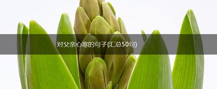 对父亲心寒的句子(汇总50句),第1张