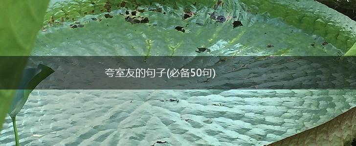 夸室友的句子(必备50句),第1张