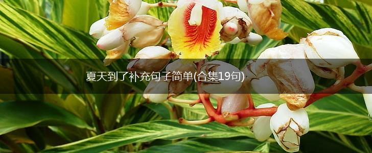 夏天到了补充句子简单(合集19句),第1张