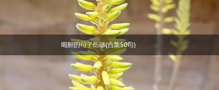 喝醉的句子伤感(合集50句),第1张