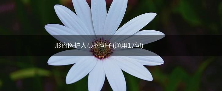 形容医护人员的句子(通用17句),第1张