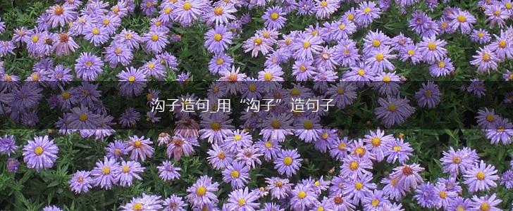 沟子造句_用“沟子”造句子,第1张