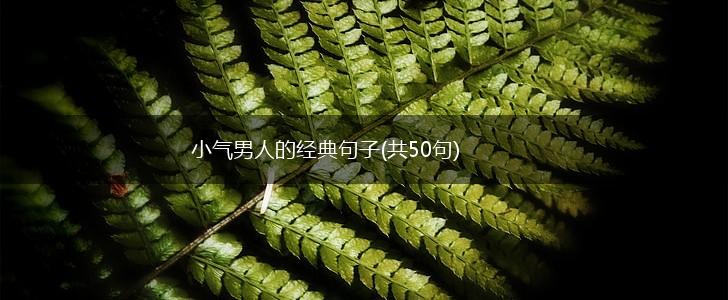 小气男人的经典句子(共50句),第1张