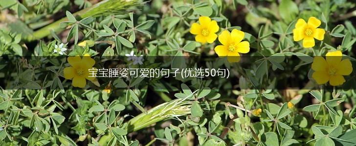 宝宝睡姿可爱的句子(优选50句),第1张