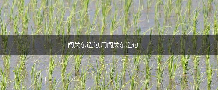 闯关东造句,用闯关东造句,第1张