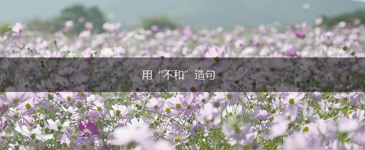 用“不和”造句,第1张