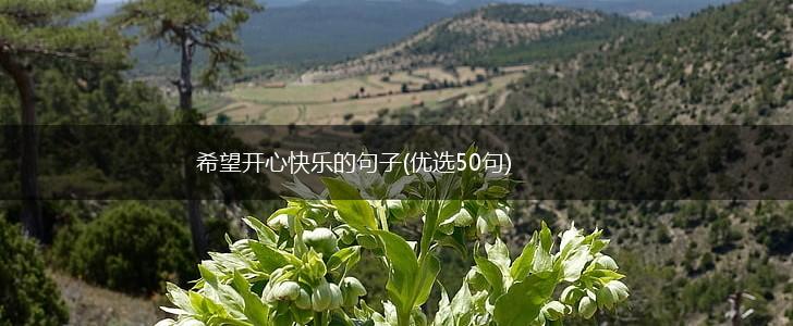 希望开心快乐的句子(优选50句),第1张