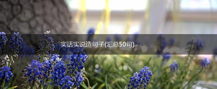实话实说造句子(汇总50句),第1张