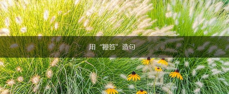 用“鞭笞”造句,第1张