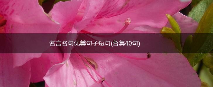 名言名句优美句子短句(合集40句),第1张
