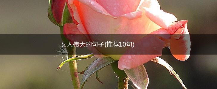 女人伟大的句子(推荐10句),第1张