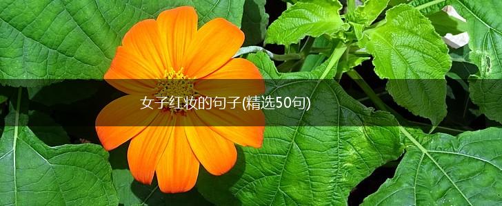女子红妆的句子(精选50句),第1张