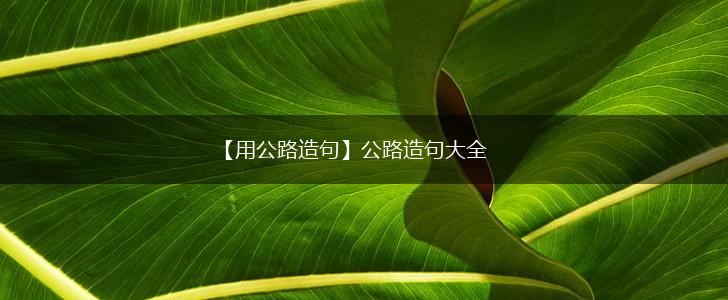 【用公路造句】公路造句大全,第1张