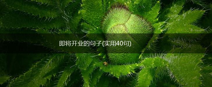 即将开业的句子(实用40句),第1张