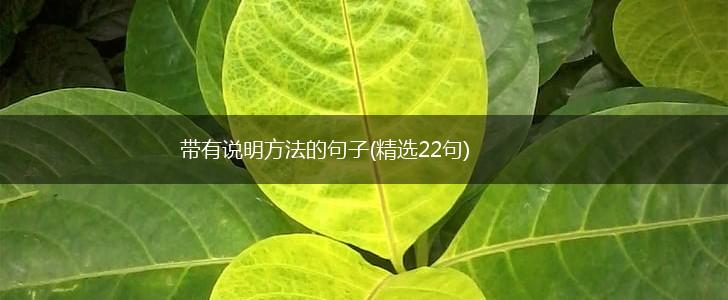 带有说明方法的句子(精选22句),第1张
