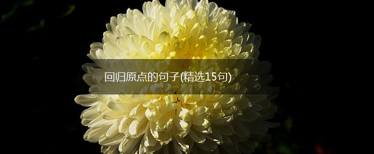 回归原点的句子(精选15句),第1张