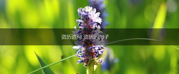 资历造句 资历的句子,第1张