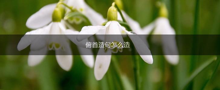 俯首造句怎么造,第1张