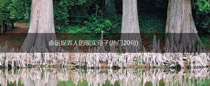 命运捉弄人的现实句子(热门20句),第1张