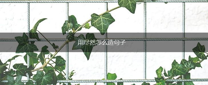 用尽然怎么造句子,第1张