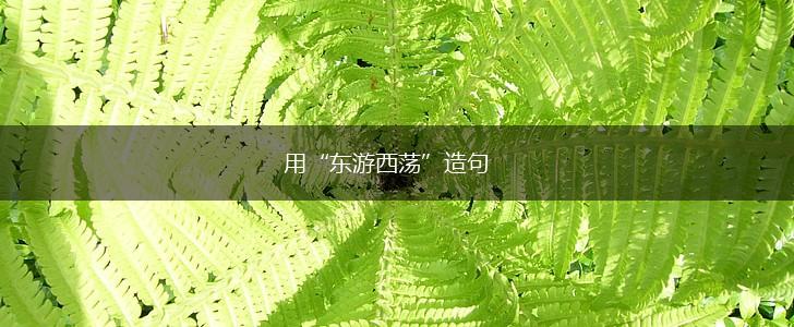 用“东游西荡”造句,第1张
